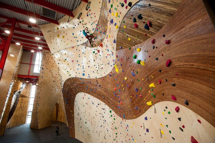 The Wall Climbing Gym  Trip Packages