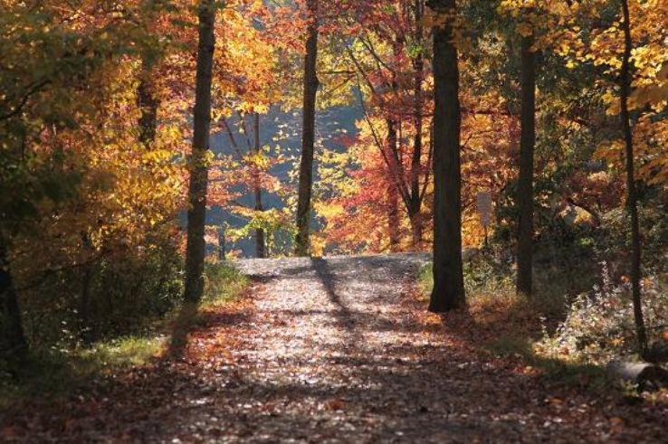 Rockefeller State Park Preserve Trip Packages