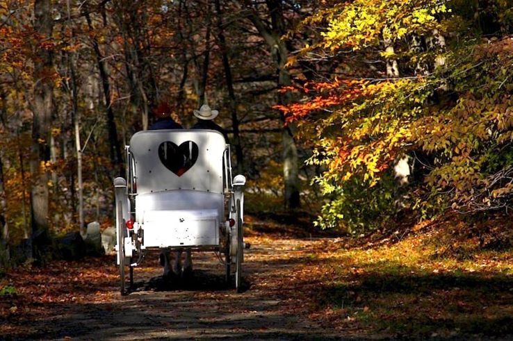 Rockefeller State Park Preserve Trip Packages