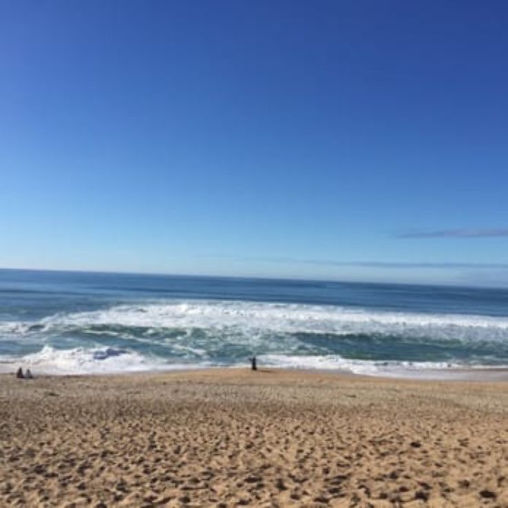 Marina State Beach Trip Packages