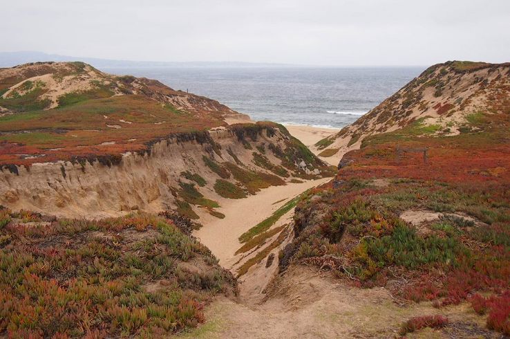 Fort Ord Dunes State Park Trip Packages
