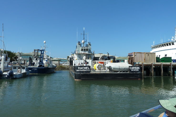 Monterey Bay Aquarium Trip Packages