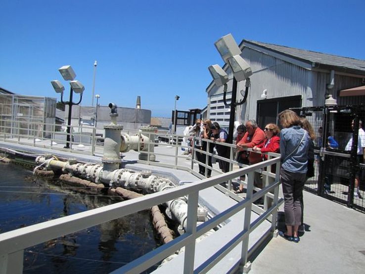 Monterey Bay Aquarium Trip Packages