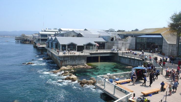 Monterey Bay Aquarium Trip Packages