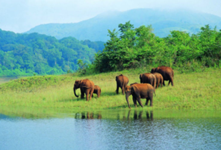 Periyar National Park and Wildlife Sanctuary Trip Packages