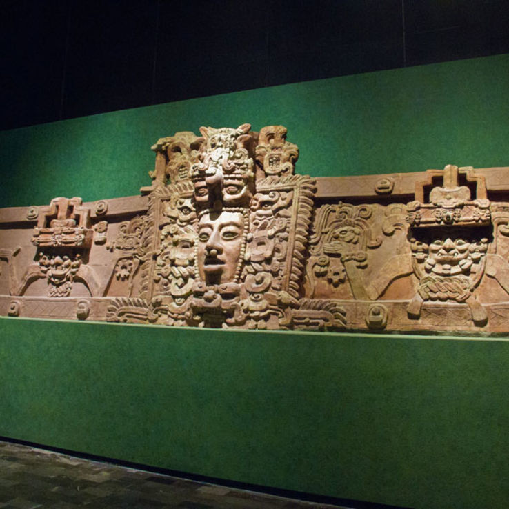 Anthropological Museum Trip Packages