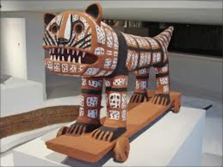 Anthropological Museum Trip Packages