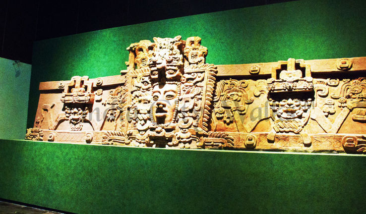 Anthropological Museum Trip Packages