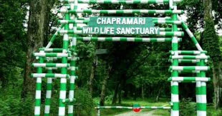 Chapramari Wildlife Sanctuary Trip Packages