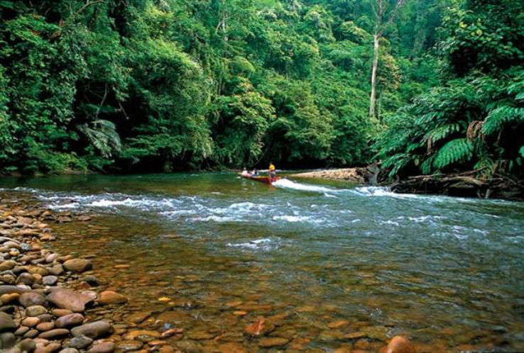 Temburong River Trip Packages