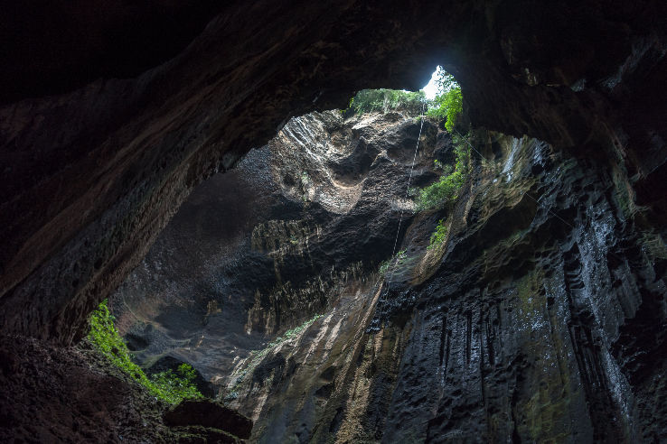 Gomantong Caves Trip Packages