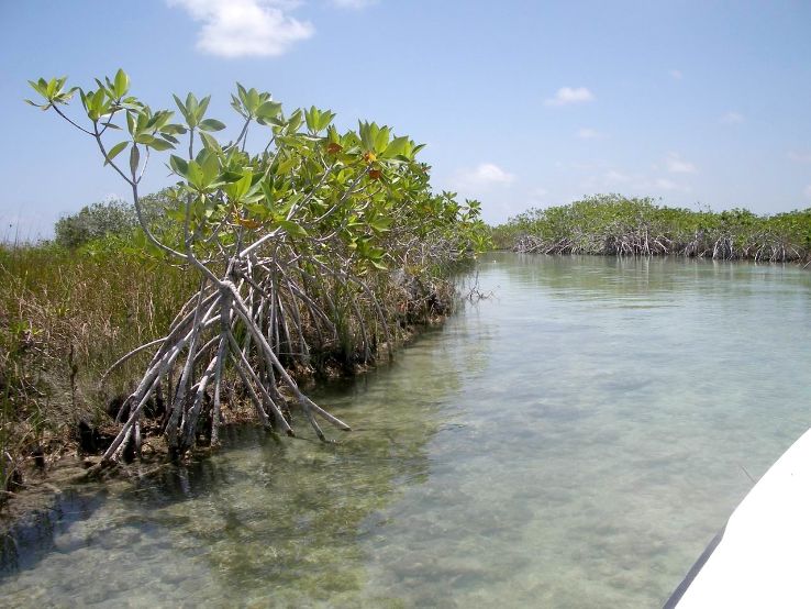 Sian Kaan Trip Packages Sian Kaan Trip Packages