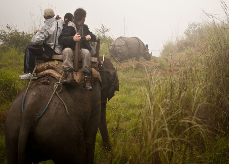 Chitwan National Park  Trip Packages