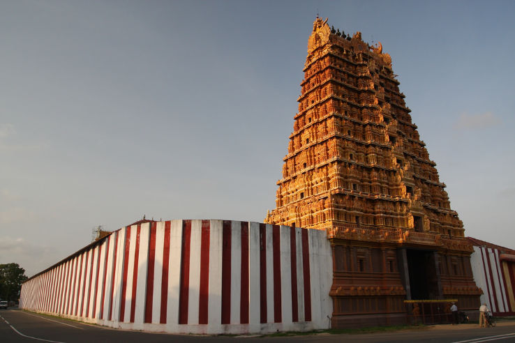 Nallur Kandaswamy temple Trip Packages