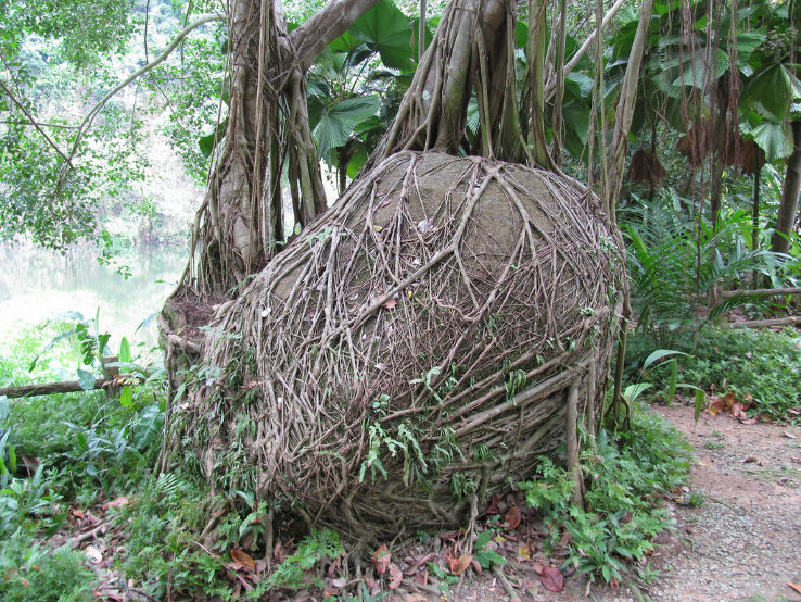 Bukit Batok Nature Park  Trip Packages