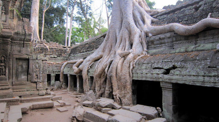 Ta Prohm Trip Packages