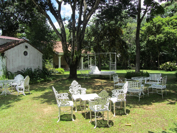 Pinto Art Museum Trip Packages