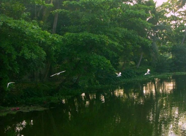 Attidiya Bird Sanctuary Trip Packages