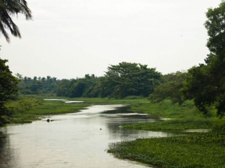 Attidiya Bird Sanctuary Trip Packages Attidiya Bird Sanctuary Trip Packages