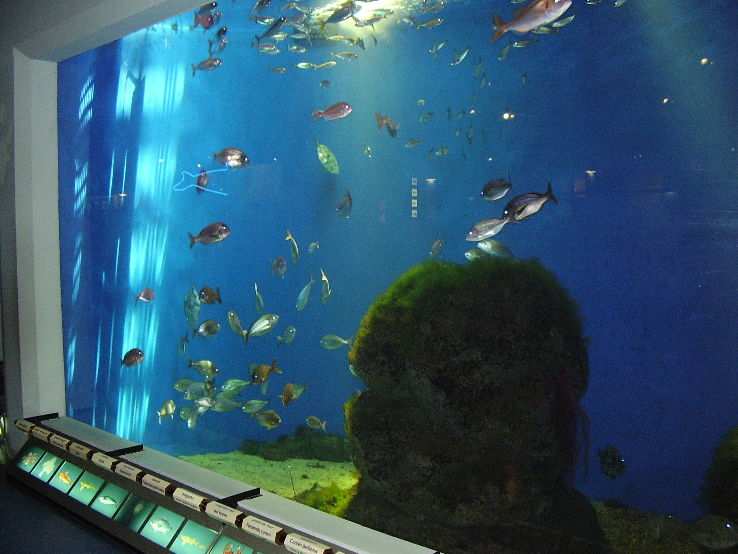Aquarium Finisterrae Trip Packages