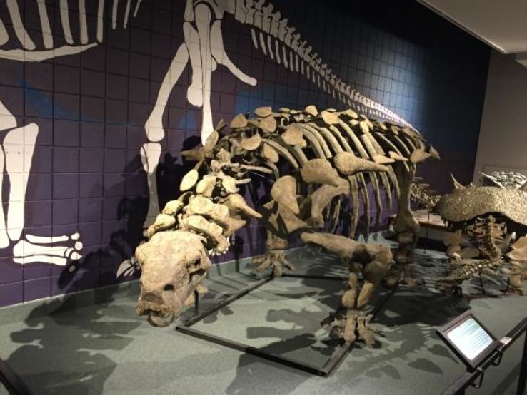 USU Eastern Prehistoric Museum Trip Packages