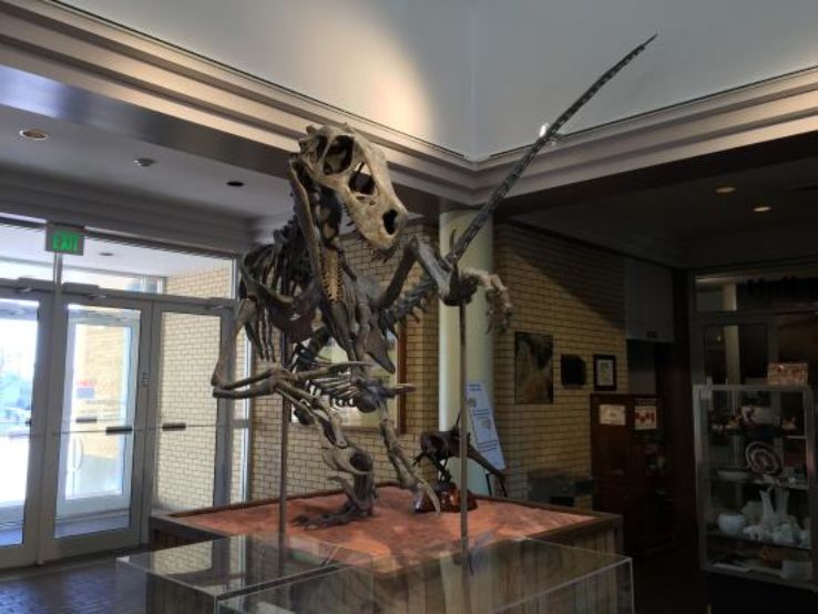 USU Eastern Prehistoric Museum Trip Packages