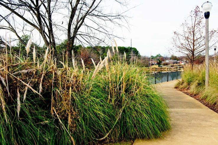 Rainbow  Trip Packages