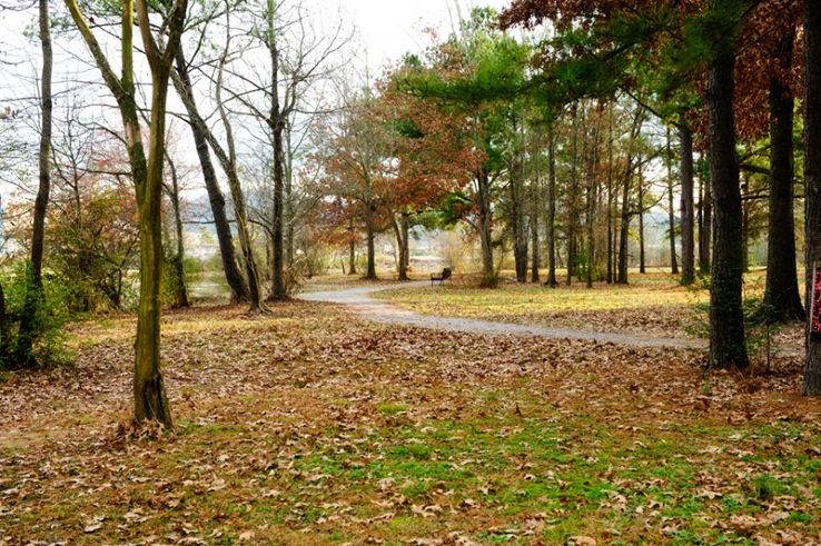 Martin Wildlife Park Trail  Trip Packages