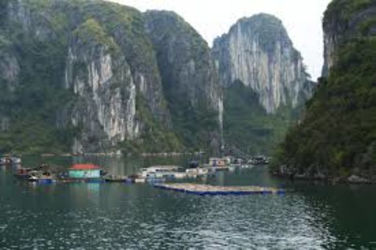 Tuyen Lam lake Trip Packages Tuyen Lam lake Trip Packages