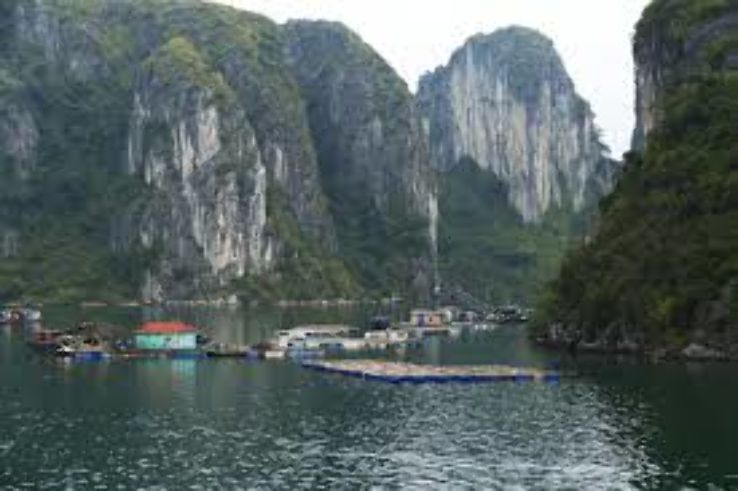 Tuyen Lam lake Trip Packages