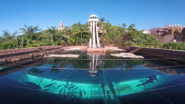 Loro Parque Trip Packages