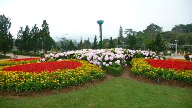 Dalat Flower Park Trip Packages
