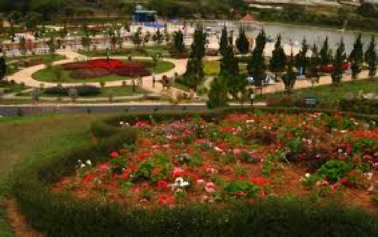 Dalat Flower Park Trip Packages