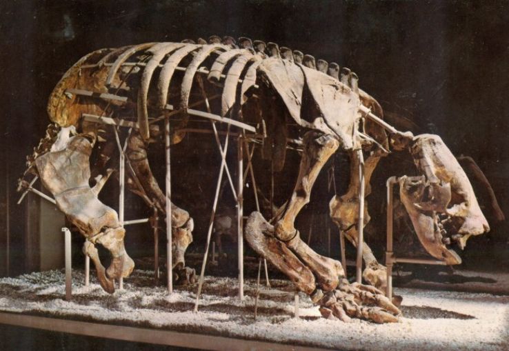 Museum of Northern Arizona  Trip Packages