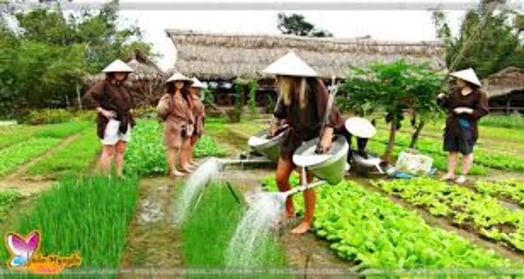 Tra Que Vegetable Village Trip Packages