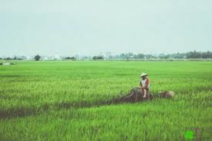 Tra Que Vegetable Village Trip Packages