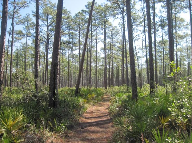 Morningside Nature Center Trip Packages