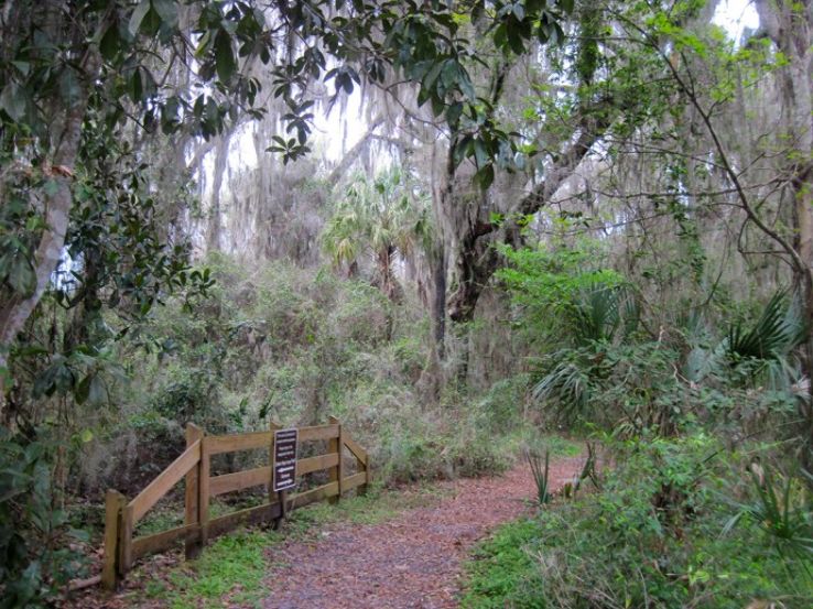 Bivens Arm Nature Park Trip Packages