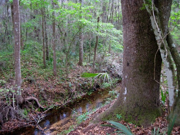 Bivens Arm Nature Park Trip Packages