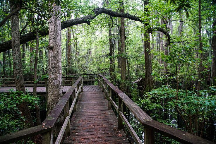First Landing State Park Trip Packages