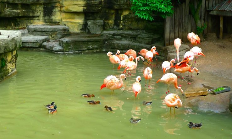 John Ball Zoological Garden Trip Packages