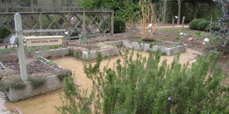 North Carolina Arboretum Trip Packages