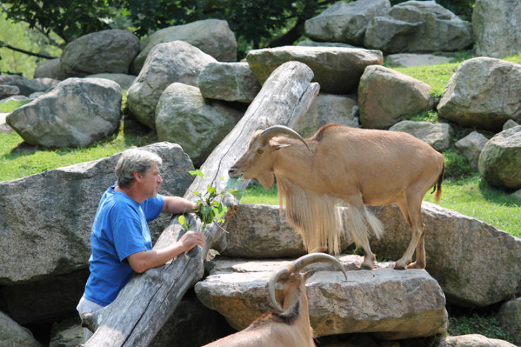 Roger Williams Park Zoo Trip Packages