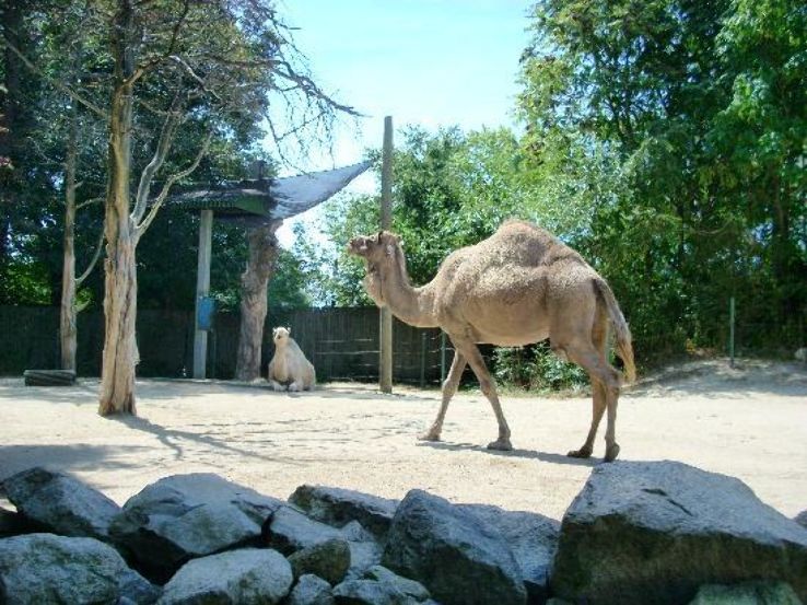 Roger Williams Park Zoo Trip Packages