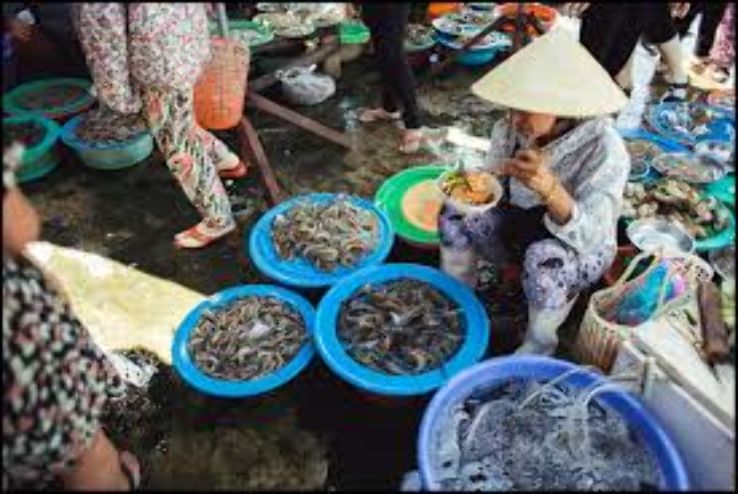 Central Market in Hoi An Trip Packages