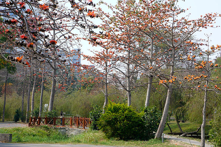 Barclay Memorial Park Trip Packages