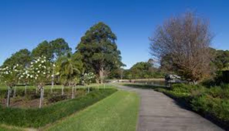 Wollongong Botanic Garden Trip Packages