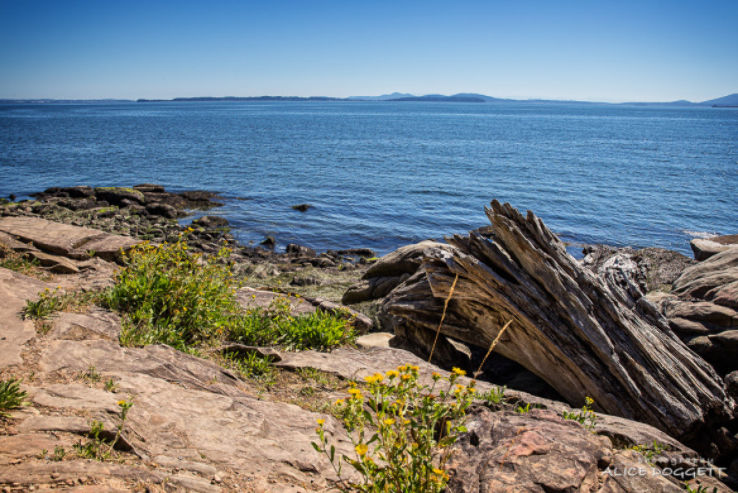 Larrabee State Park Trip Packages
