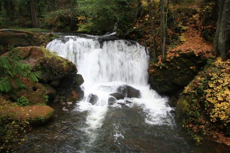 Whatcom Falls Park Trip Packages