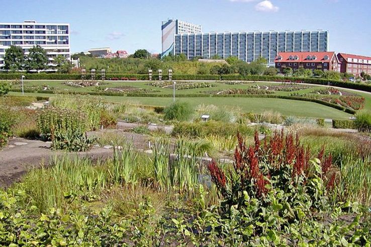 Aarhus Botanical Gardens Trip Packages